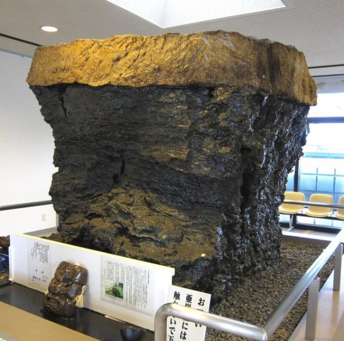 Десятитонный кусок бурого угля в Музее бурого угля в Японии