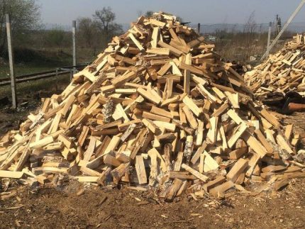 Firewood from different types of wood
