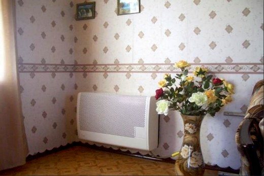 Apartment interior with gas radiator