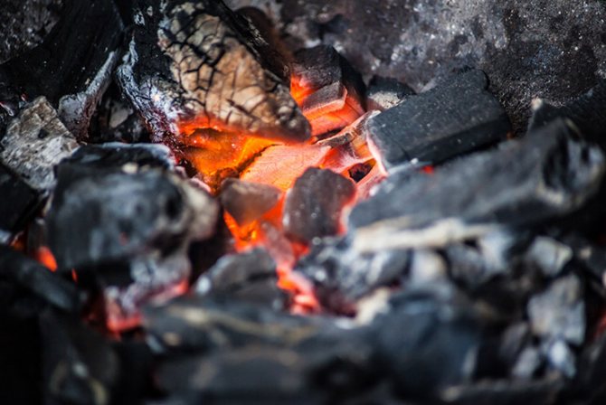 Температура горения древесного и каменного угля