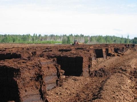 Peat in agriculture